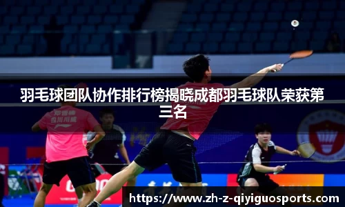 羽毛球团队协作排行榜揭晓成都羽毛球队荣获第三名